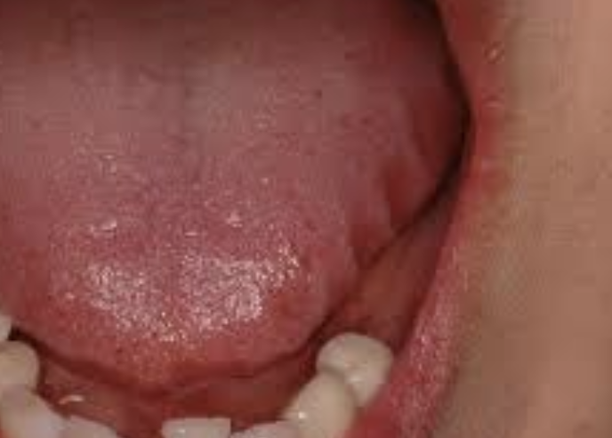 スクリーンショット 2023-12-16 21.02.53