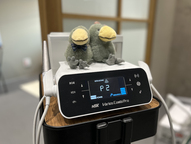 パウダーメンテナンス｜東白楽ハシビロ歯科クリニック｜横浜市神奈川区